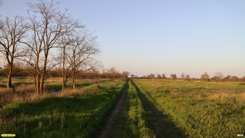 Перспективная ООПТ Воронцовская степь 