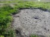 Сальза грязевого вулкана а перспективной ООПТ Падь Кисличина