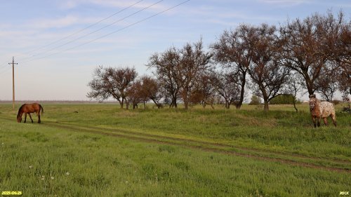 Перспективная ООПТ Воронцовская падь (Северный участок)