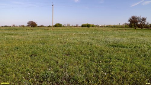 Перспективная ООПТ Воронцовская падь (Северный участок)