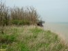 Перспективная ООПТ Урочище Михельсталь