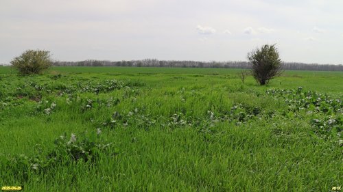 Перспективная ООПТ Должанская степь