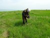 Исследователь А.Рудомаха на обследовании перспективной ООПТ Должанская степь