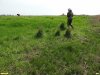 Обследование перспективной ООПТ Должанские плавни