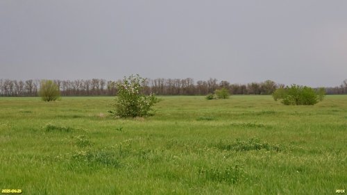 Перспективная ООПТ Первомайская падь