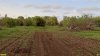 Перспективная ООПТ Рудовский лес