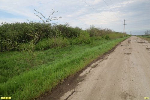Перспективная ООПТ Рудовский лес