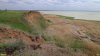 Перспективная ООПТ Северный берег Ейского залива