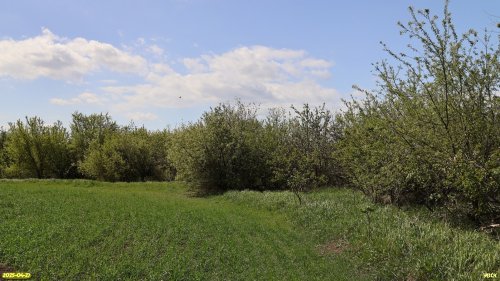Перспективная ООПТ Глафировский сад