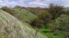 Перспективная ООПТ Просяная балка