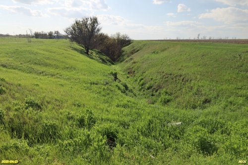 Перспективная ООПТ Молчановская балка
