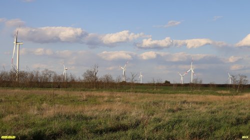 Перспективная ООПТ Замолчановский участок степи