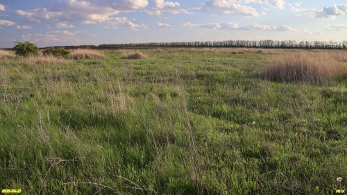 Перспективная ООПТ Замолчановский участок степи
