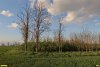 Перспективная ООПТ Колок в урочище Подлюдки