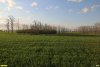 Перспективная ООПТ Колок в урочище Подлюдки