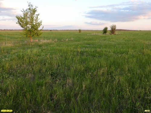 Перспективная ООПТ Пода Чагин лиман