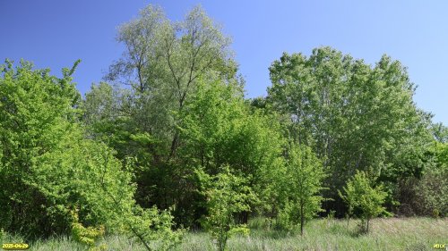 Перспективная ООПТ Афипский лес