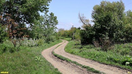 Перспективная ООПТ Веселогорская роща