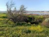 Перспективная ООПТ Джеметинский бугор