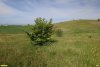 Перспективная ООПТ Красненский бугор
