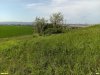 Перспективная ООПТ Красненский бугор