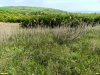 Перспективная ООПТ Марченские балки