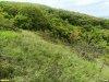 Перспективная ООПТ Куматырская гора