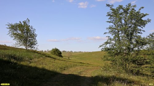 Перспективная ООПТ Вторая Подшкуринская балка