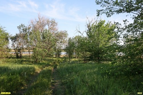 Перспективная ООПТ Подшкуринская роща