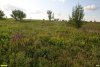Перспективная ООПТ Берег реки Терновки