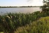 Перспективная ООПТ Калниболотский берег Еи