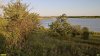 Перспективная ООПТ Калниболотский берег Еи