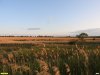 Перспективная ООПТ Луг в Первой Калниболотской балке