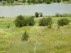Перспективная ООПТ Высокий берег Еи на улице Семашко (в ст.Калниболотской)