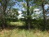 Перспективная ООПТ Краснопоселковый лесопарк