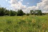Перспективная ООПТ Краснопоселковая роща с участком степи 