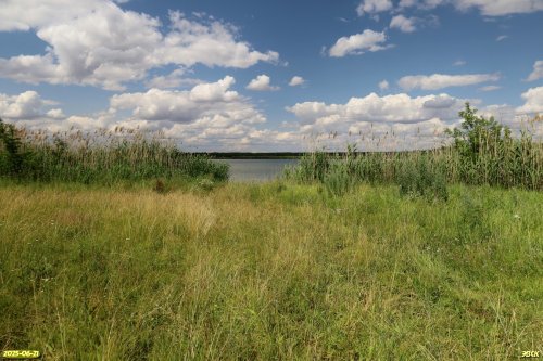 Перспективная ООПТ Краснопоселковая роща с участком степи 