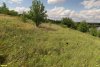 Перспективная ООПТ Красновоинский берег Еи