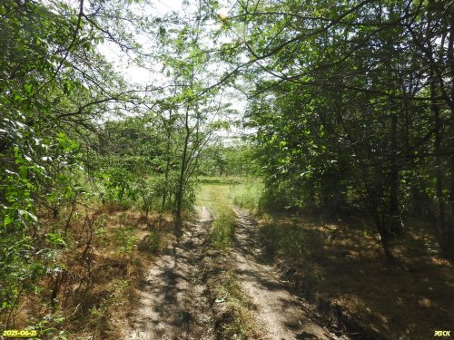 Перспективная ООПТ Красновоинский берег Еи