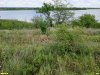 Перспективная ООПТ Красновоинский берег Еи