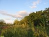 Перспективная ООПТ Левогорьковская балка