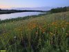 Перспективная ООПТ Левогорьковская балка
