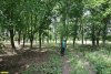 Волонтёр Д.Петраускас на обследовании перспективной ООПТ Восточно-Калниболотская роща