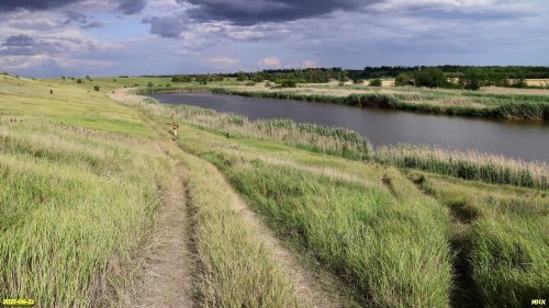 Перспективная ООПТ Бондаревский берег Еи