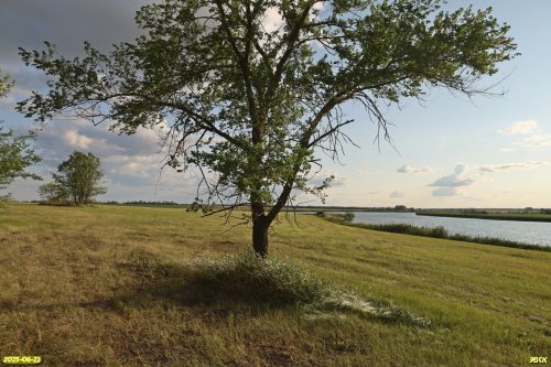 Перспективная ООПТ Луга в устье Горькой балки