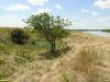 Перспективная ООПТ Новолокинский берег реки Калалы