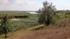Перспективная ООПТ Черкасский берег Челбаса