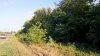 Перспективная ООПТ Сладколиманская роща