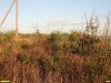 Перспективная ООПТ Берег Сладкого лимана