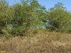 Перспективная ООПТ Каневской лесопарк